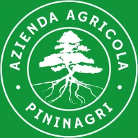 Pinin Agri Logo